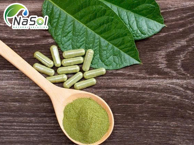 Cảnh báo lạm dụng Kratom (Giam đẹp)