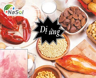 Quy định về thực phẩm dị ứng tại Việt Nam