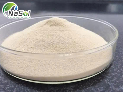 L-Carnosine